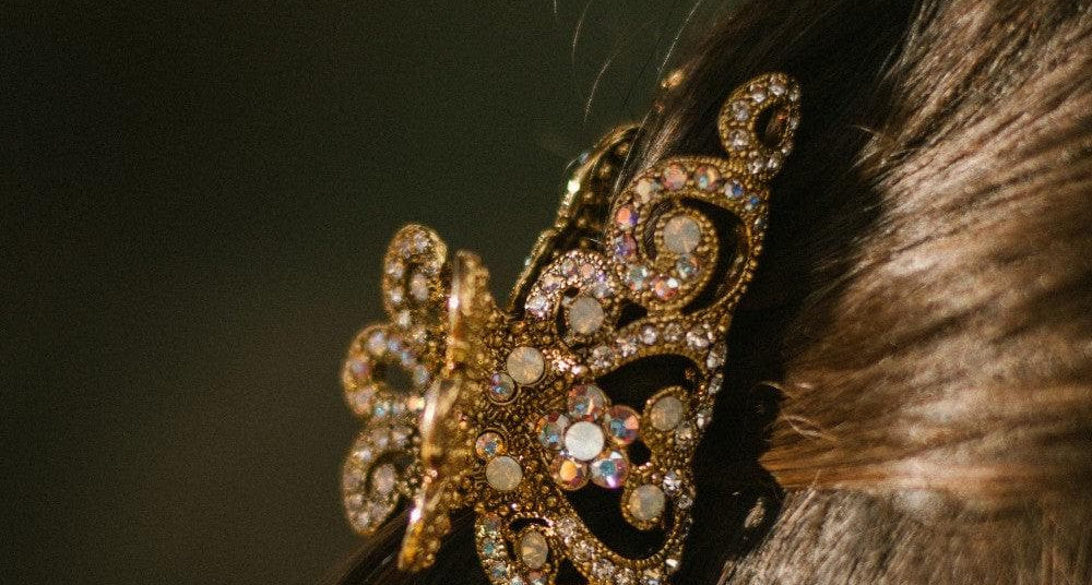 TEGEN crystal crown claw clip sparkling in dark hair